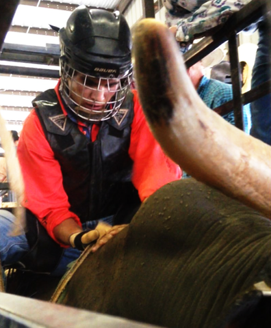 Dawson grad, bull rider to compete in national rodeo - Dawson County News