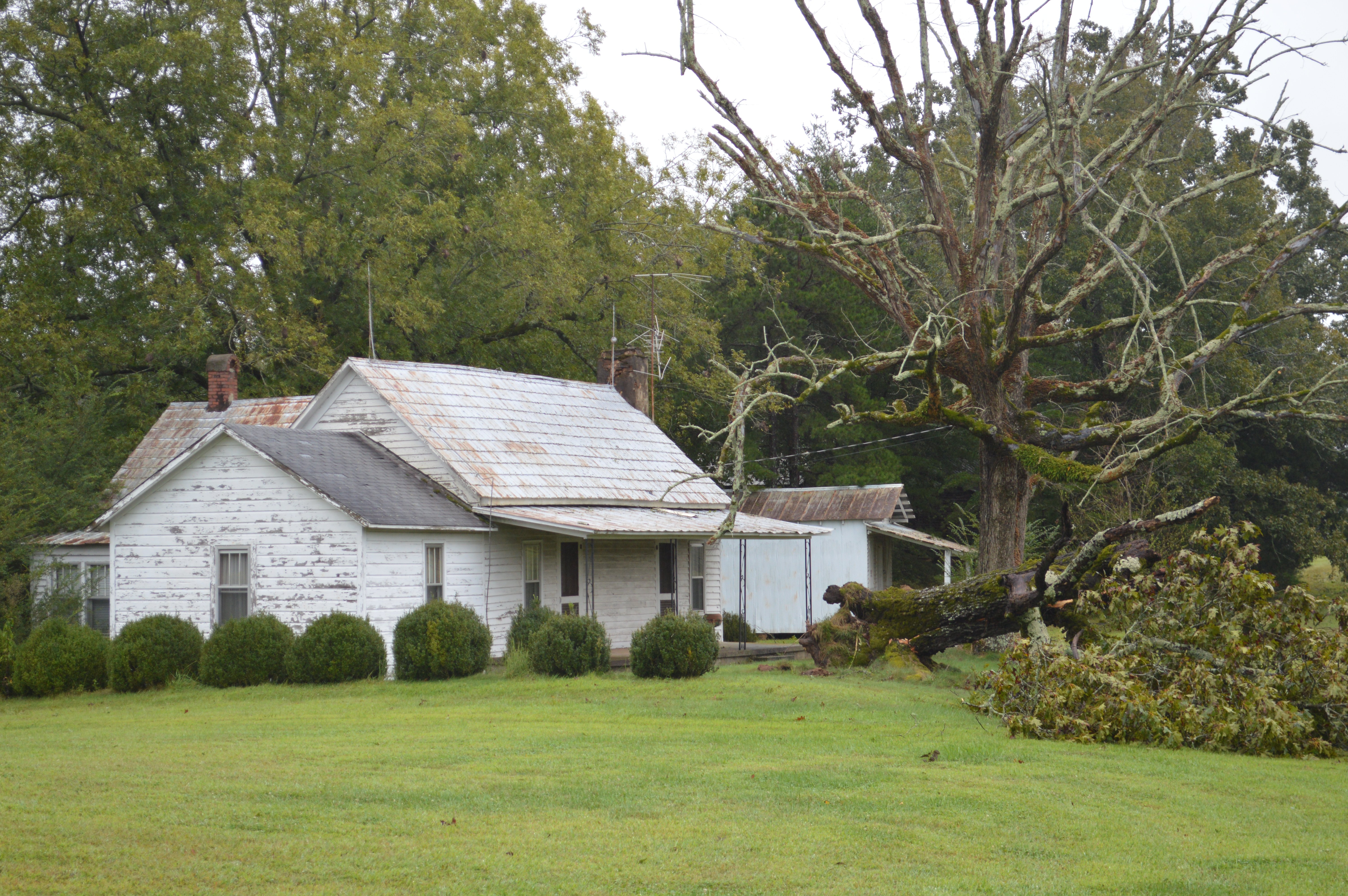 Irma damage 5