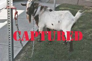 KMVQ Screen shot 2015 09 08 at 3.08.01 PM