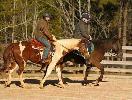 6 Mounted Search pic