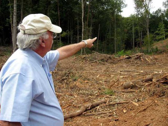 3 Forestry pic2