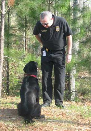 -D-K9 pic 2