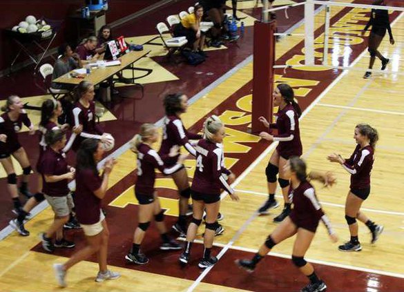 S-Volleyball pic1