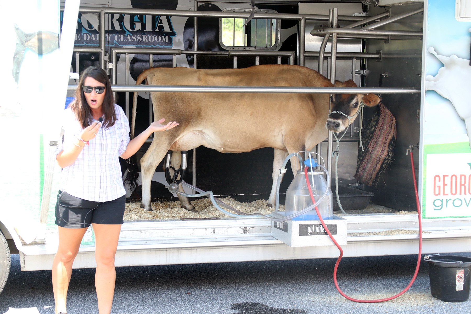 Mobile Dairy Farm Visits Dawsonville Dawson County News