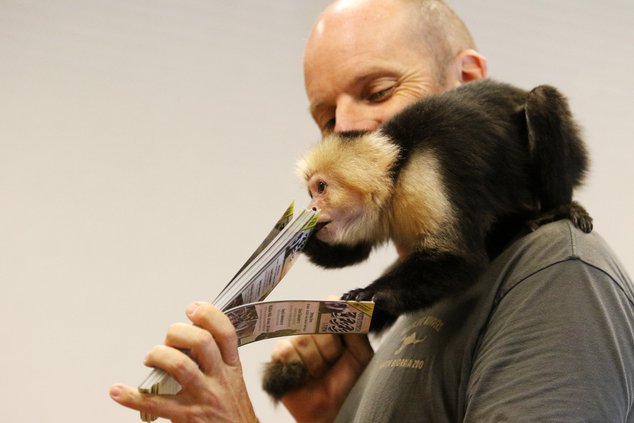 wildlife wonders pic 2