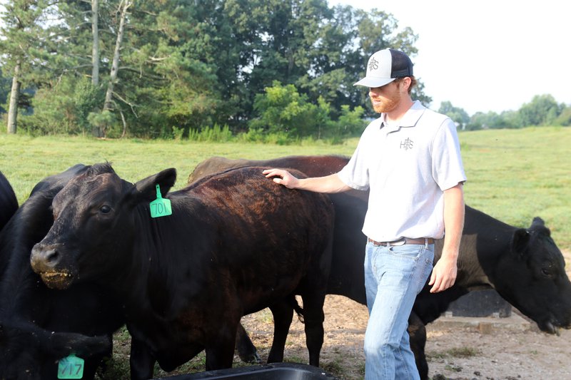 A-local farm vet pic 4.JPG