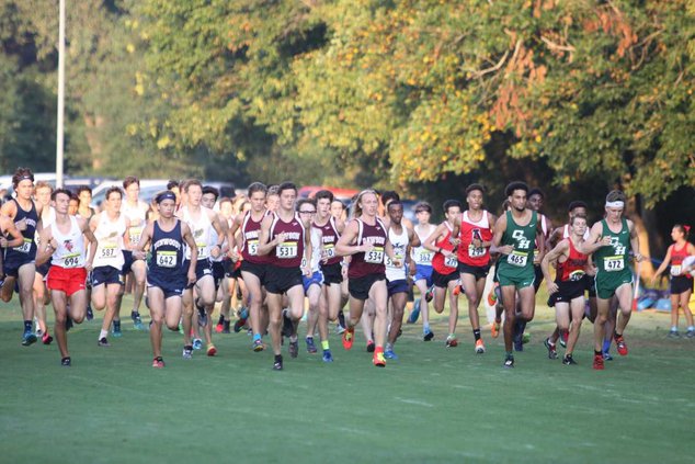 S-Cross country pic 1.jpg