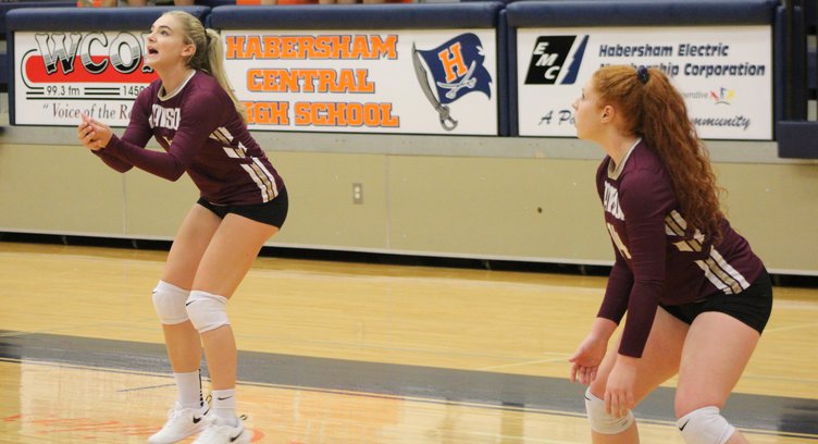 S-Volleyball pic 1.JPG