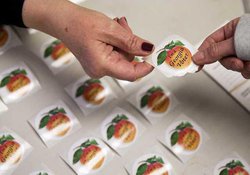 Election