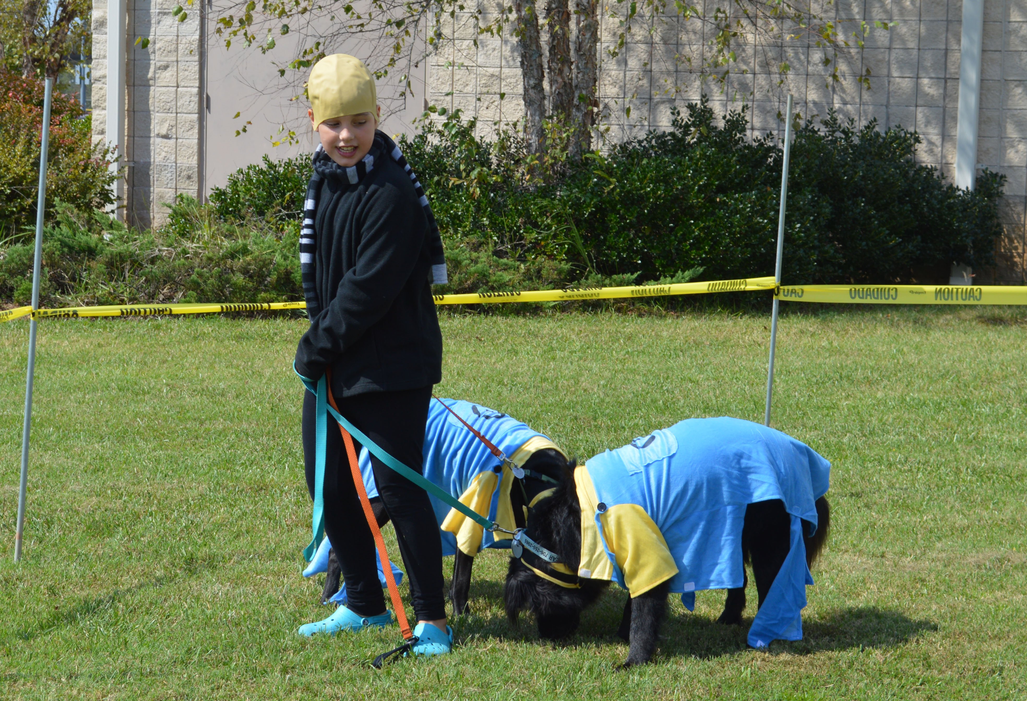 Pups in the park 4