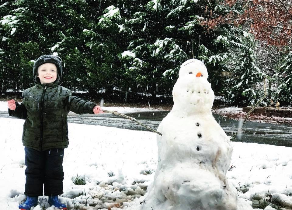 Snow 2017