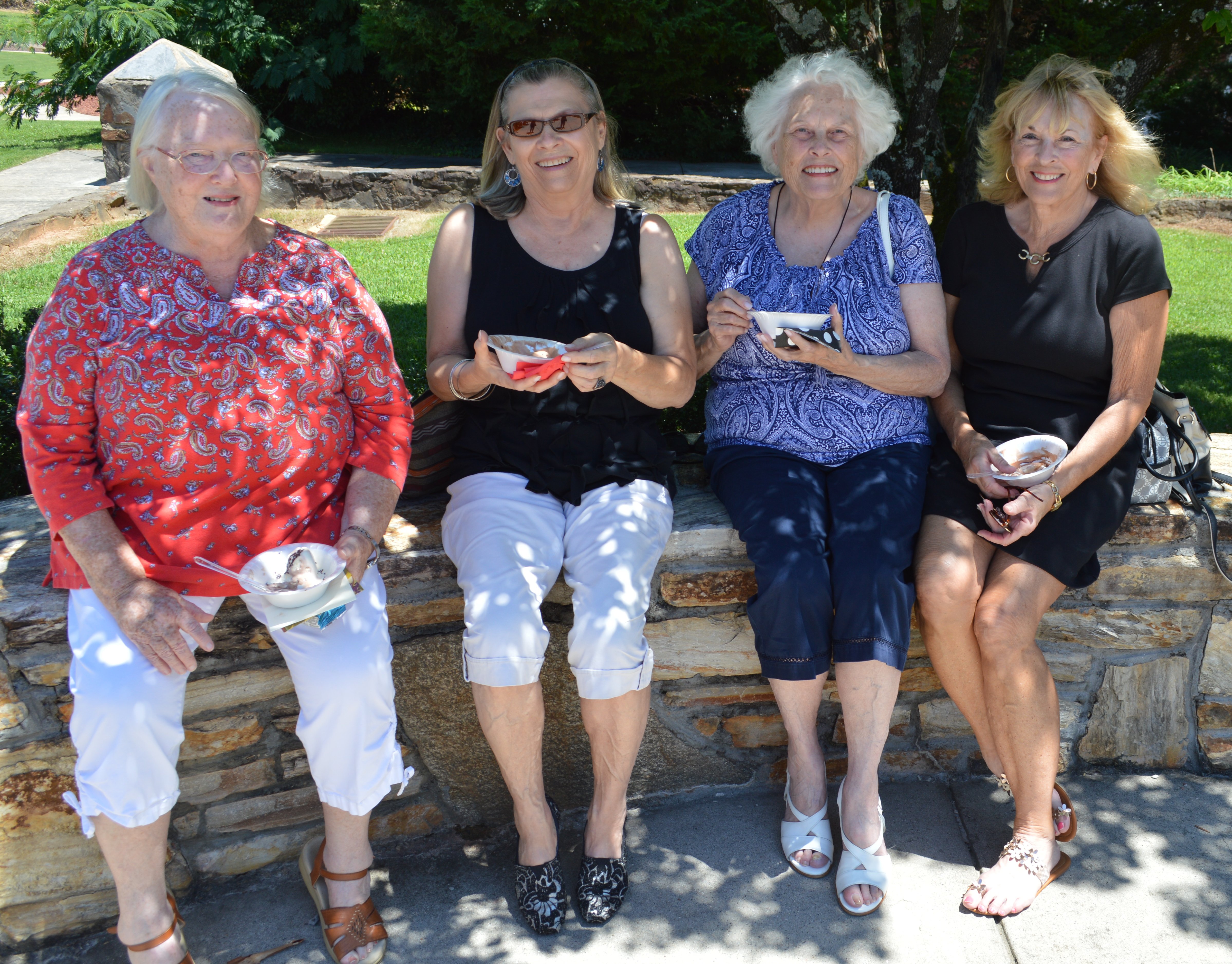 ice cream social