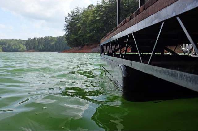lake cameras