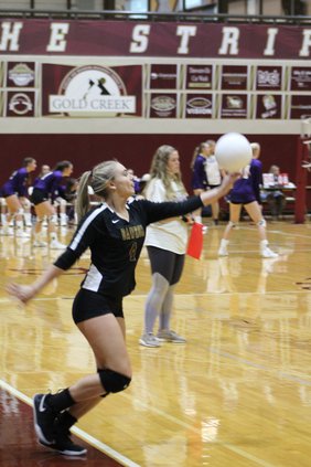 volleyball