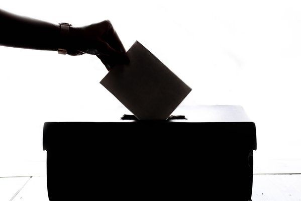 vote stock
