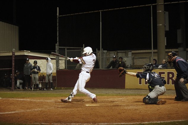 Tigers baseball Feb. 25 1