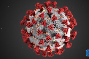 Coronavirus