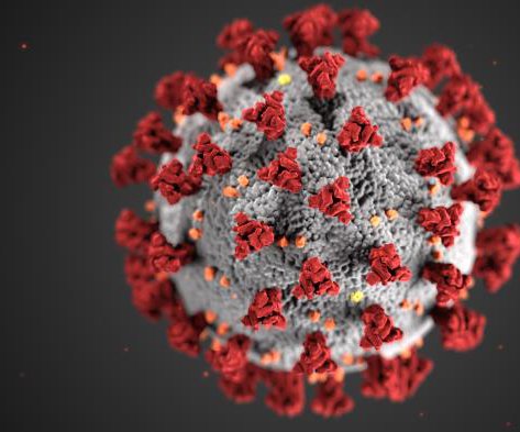 Coronavirus