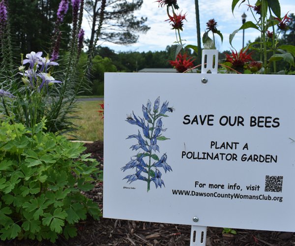 POLLINATOR GARDEN 3
