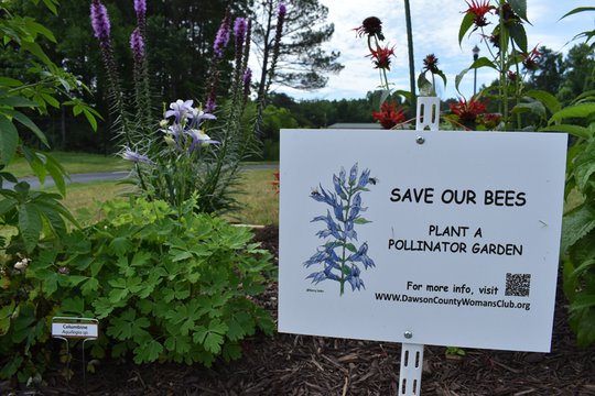 Learn about pollinator plants and gardening during this annual event held by the Dawson County Woman’s Club