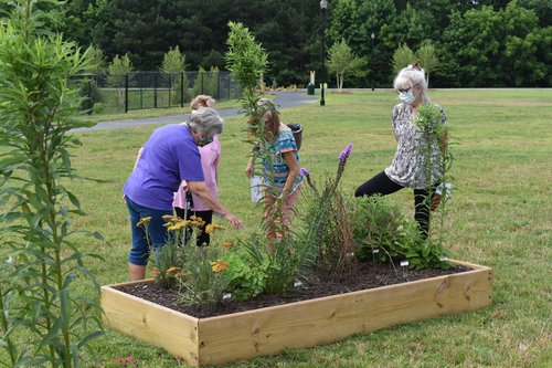 POLLINATOR GARDEN 6