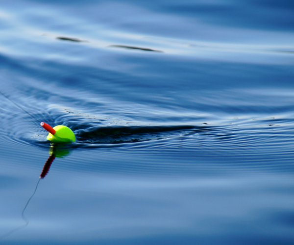 Fishing stock 4