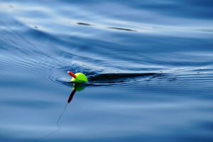 Fishing stock 4