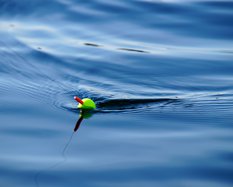 Fishing stock 4