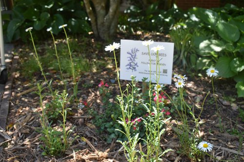 pollinators 2