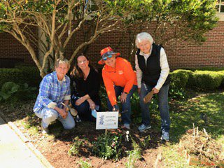 woman's club pollinators