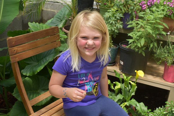 Butterfly Farm