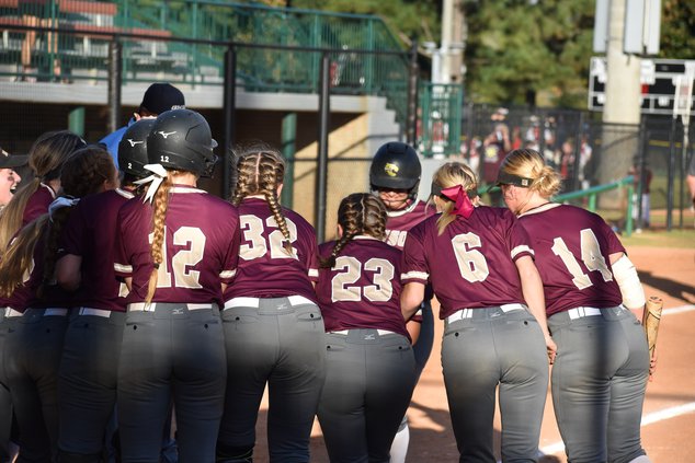 Lady Tigers softball.jpg
