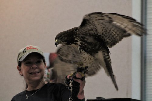 bird-library2