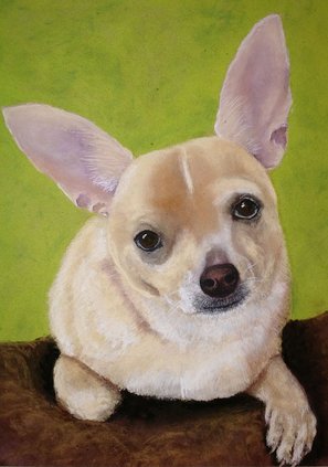 Pastel artist 6