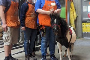 05112023 THERAPY PONY 1.jpg