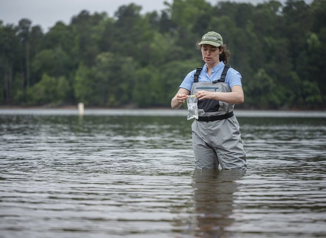 How clean is Lake Lanier heading into Memorial Day weekend? Here's what experts say - Vimarsana News
