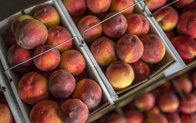 2023 local peach crop to be severely reduced for this reason - Dawson County News - Vimarsana News