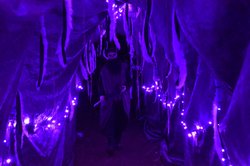 09302023 HAUNTED CORN MAZE 3.jpg