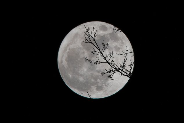 10042023 moon stock