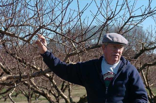 Jaemor Farms 1 12262023