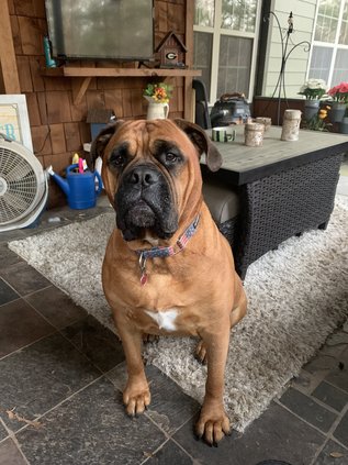 01222024 CUTEST PET 1