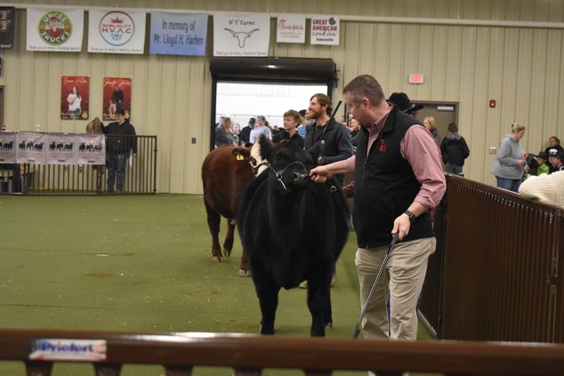 01252025 BEEF COW SHOW 1.jpg