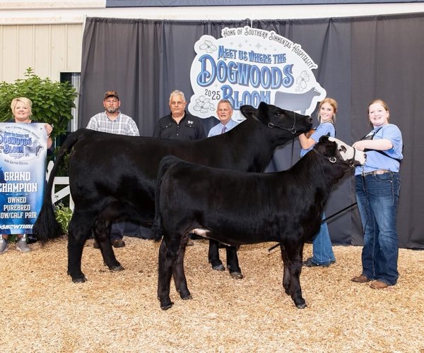 Cattle awards 07152025