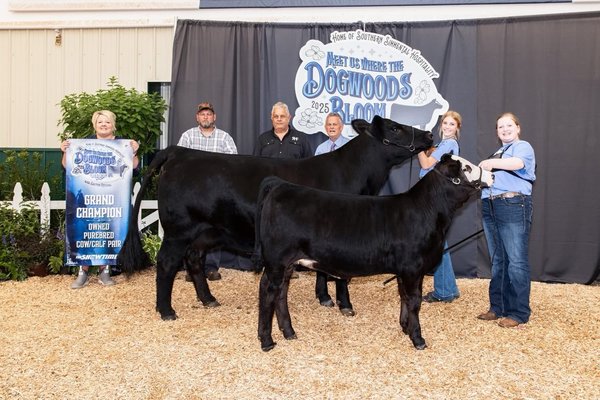 Cattle awards 07152025