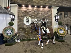 equestrian072325