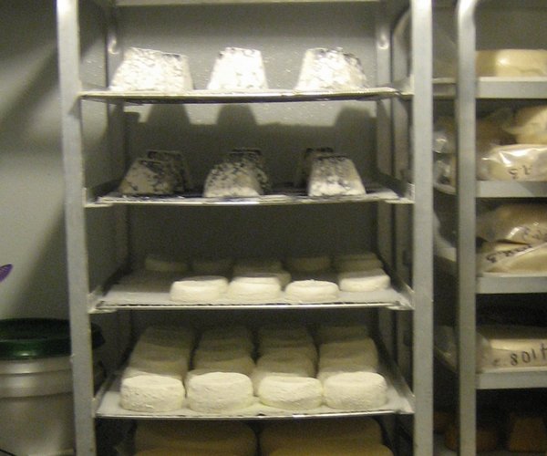 kitchen081225