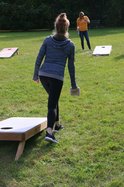 Cornhole stock