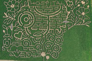 09022025 UNCLE SHUCKS 2025 DESIGN