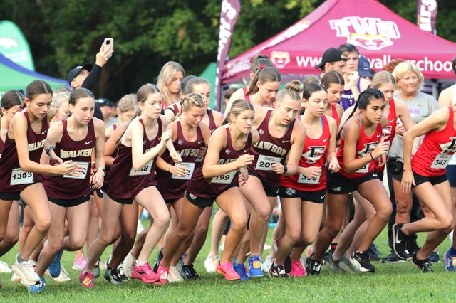 CROSS COUNTRY: Lady Tigers place third among elite field at North Hall Invitational