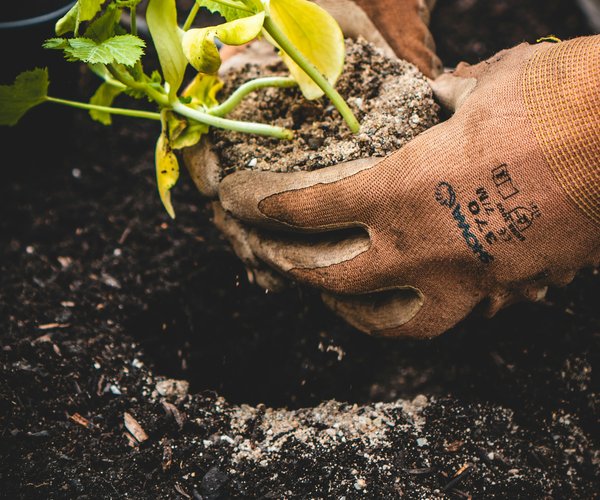 Gardening stock